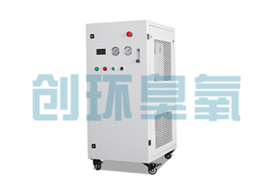 石河子石斑鱼养殖水质调控完整指南：臭氧发生器配置与操作步骤