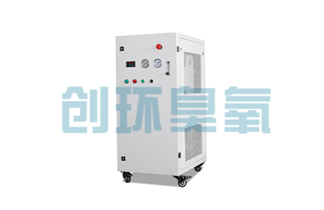 石河子比传统换水更高效？臭氧发生器在石斑鱼养殖中的水质净化原理解析
