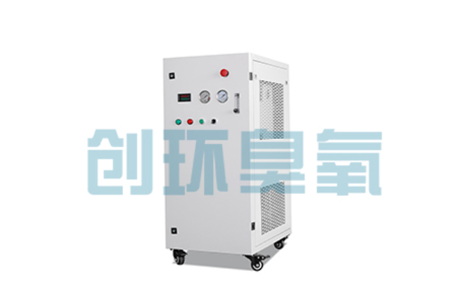 石河子比传统换水更高效？臭氧发生器在石斑鱼养殖中的水质净化原理解析